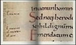 la minuscule caroline