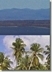 vignette-lien vers une vue des paysages du continent américain