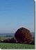 vignette-lien vers une vue des paysages du pays franc